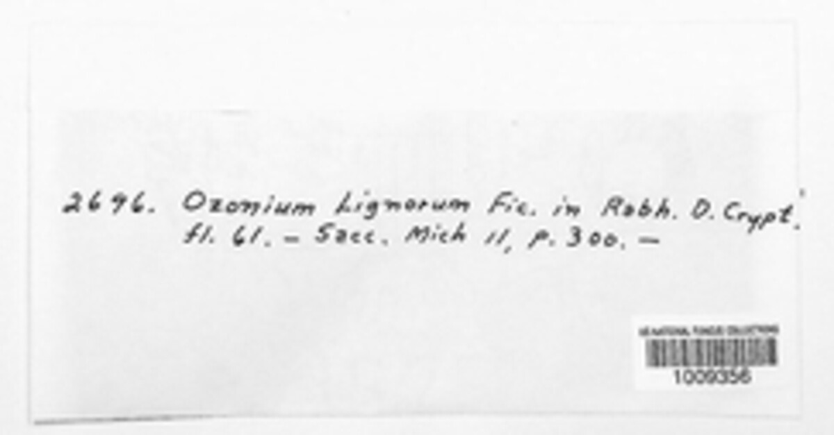 Ozonium lignorum image